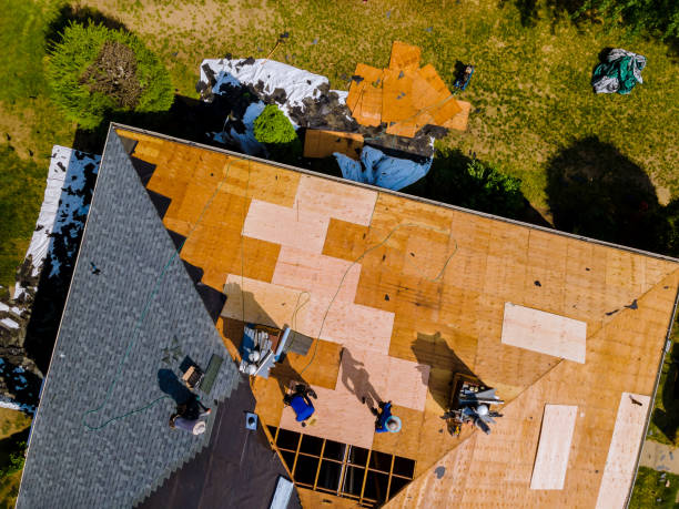 Best Flat Roof Repair Services  in Spring Grove, IL