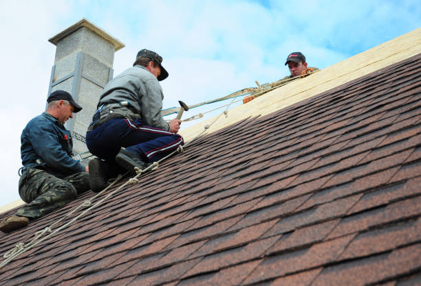 Roof Repair Estimates in Spring Grove, IL